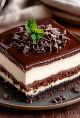 Gâteau glacé aux biscuits et chocolat : le dessert sans cuisson irrésistible