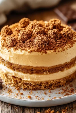 Gâteau Petit Beurre aux Spéculoos : le dessert sans cuisson ultra gourmand